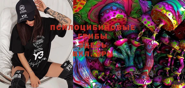 дурь Лабытнанги