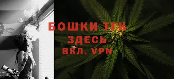ПСИЛОЦИБИНОВЫЕ ГРИБЫ Лихославль