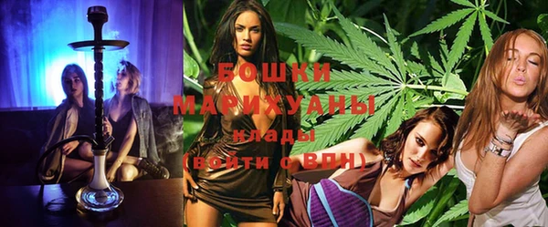 дурь Лабытнанги
