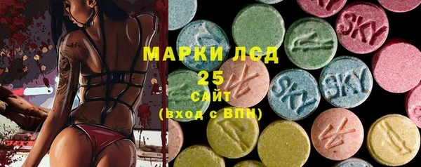 ПСИЛОЦИБИНОВЫЕ ГРИБЫ Лихославль