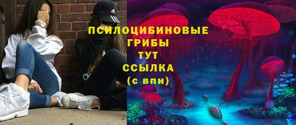 ПСИЛОЦИБИНОВЫЕ ГРИБЫ Лихославль