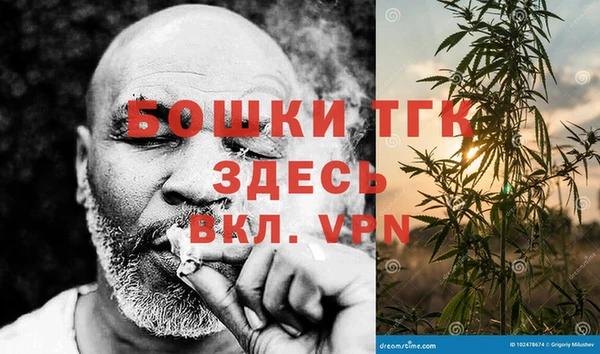 мет Ладушкин