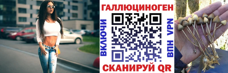 Псилоцибиновые грибы мицелий  ссылка на мегу зеркало  Фёдоровский 
